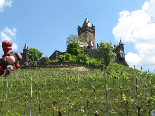 Narizón errante en Cochen, Alemania