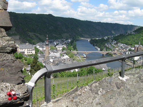 Narizón errante en Cochen, Alemania