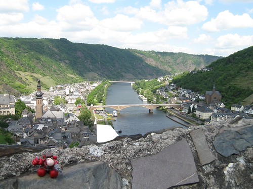 Narizón errante en Cochen, Alemania