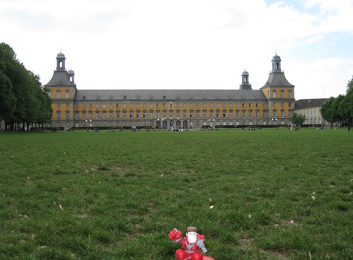 Narizón errante en Bonn, Alemania
